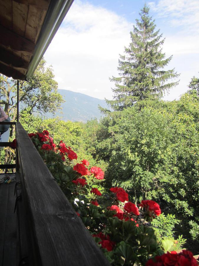 B&B Baita Evelina San Giorio Экстерьер фото